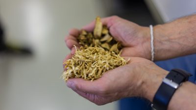 Produkte aus Enzian Produkte aus Enzian