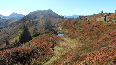 Wandern im Großarltal Wandern im Großarltal