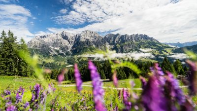 Wanderung zum SchneebergWanderung zum Schneeberg Wanderung zum SchneebergWanderung zum Schneeberg