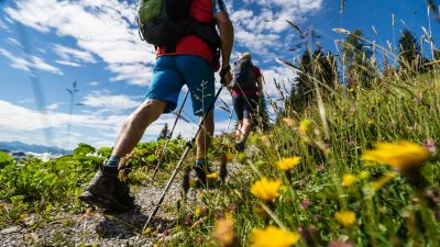 Wanderung zum SchneebergWanderung zum Schneeberg Wanderung zum SchneebergWanderung zum Schneeberg