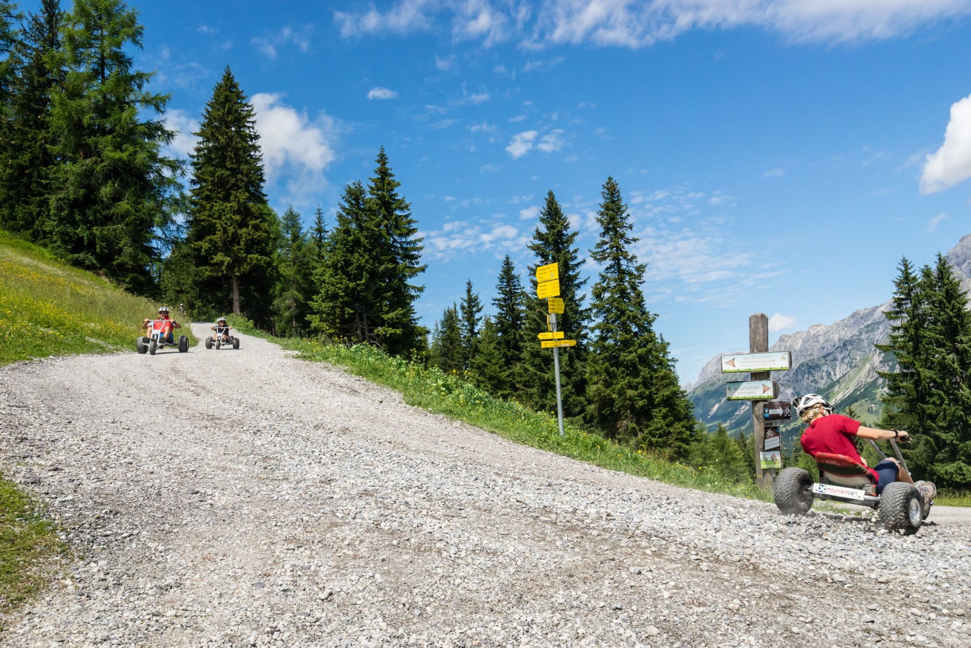 Rasant bergab im Mountaincart