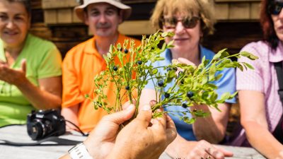 Kräuterwanderung mit Barbara vom Vital-Hotel PostKräuterwanderung mit Barbara vom Vital-Hotel Post Kräuterwanderung mit Barbara vom Vital-Hotel PostKräuterwanderung mit Barbara vom Vital-Hotel Post