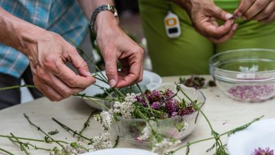 hausgemachter Kräutertopfen im Vital-Hotel Posthausgemachter Kräutertopfen im Vital-Hotel Post