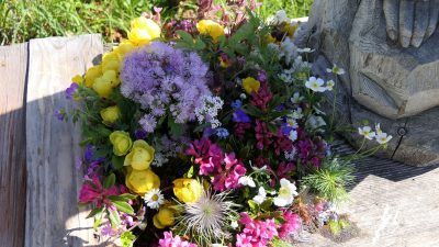 Blumen für die Deko Blumen für die Deko