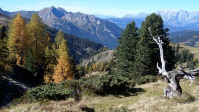 Natur im GroßarltalSAMSUNG CAMERA PICTURES Natur im GroßarltalSAMSUNG CAMERA PICTURES