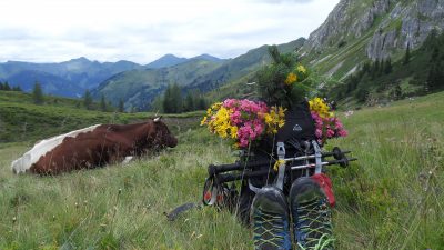 SAMSUNG DIGITAL CAMERA SAMSUNG DIGITAL CAMERA