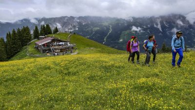 Europa, Österreich, Tannheimer TalWanderung auf dem Neunerköpfle Europa, Österreich, Tannheimer TalWanderung auf dem Neunerköpfle