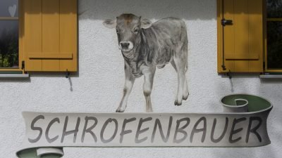 Oesterreich Austria Tirol Tannheimer Tal Graen Wanderhotel HOTEL LUMBERGER HOF Milch holen Schofenbauer Oesterreich Austria Tirol Tannheimer Tal Graen Wanderhotel HOTEL LUMBERGER HOF Milch holen Schofenbauer