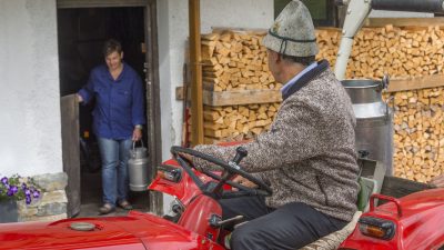 Oesterreich Austria Tirol Tannheimer Tal Graen Wanderhotel HOTEL LUMBERGER HOF Milch holen Schofenbauer Oesterreich Austria Tirol Tannheimer Tal Graen Wanderhotel HOTEL LUMBERGER HOF Milch holen Schofenbauer