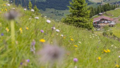 Oesterreich Austria Tirol Tannheimer Tal Graen Wanderhotel HOTEL LUMBERGER HOF Wandern Neunerkoepfle Gipfelwanderweg Oesterreich Austria Tirol Tannheimer Tal Graen Wanderhotel HOTEL LUMBERGER HOF Wandern Neunerkoepfle Gipfelwanderweg