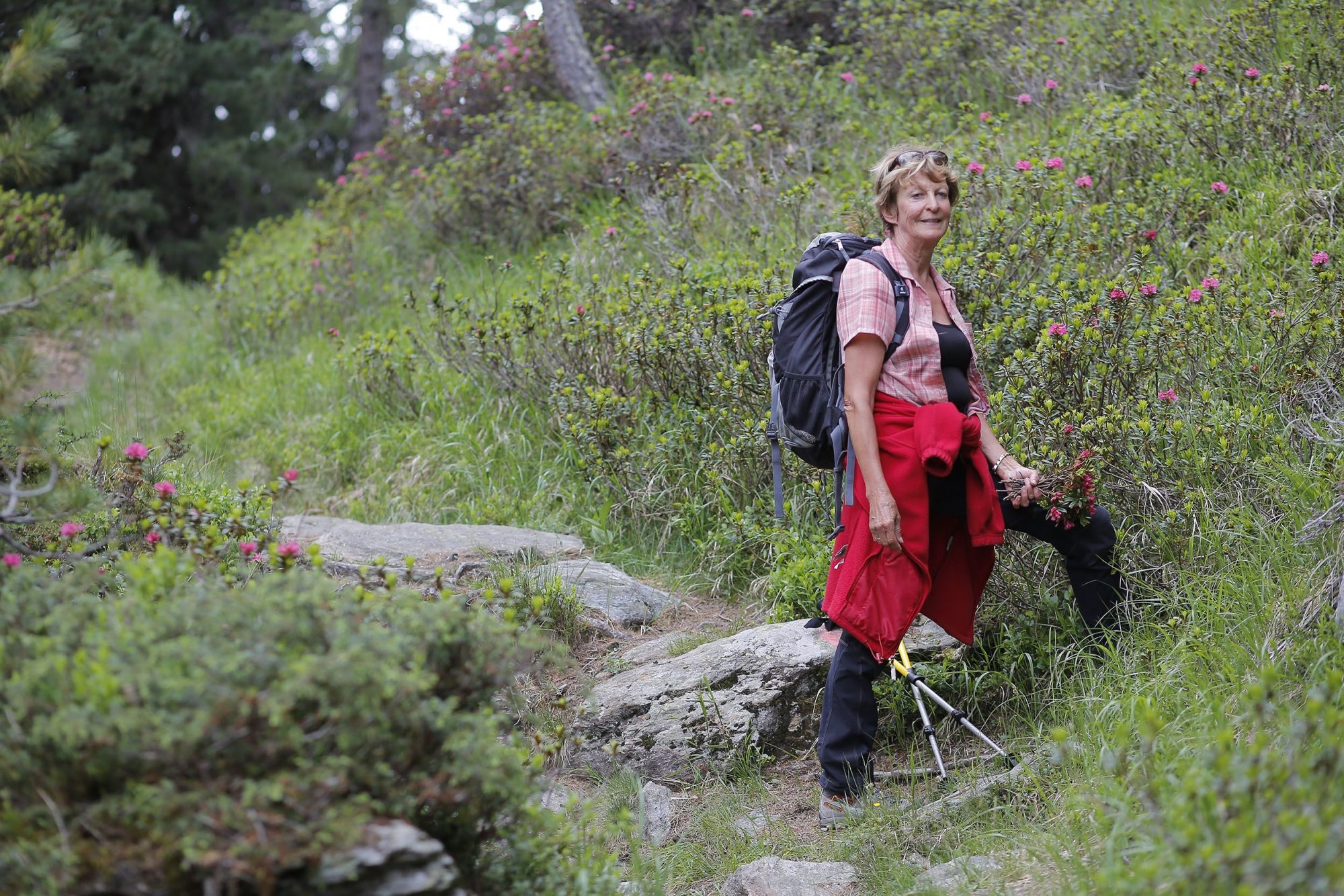 Wandern auf der Schwemmalm