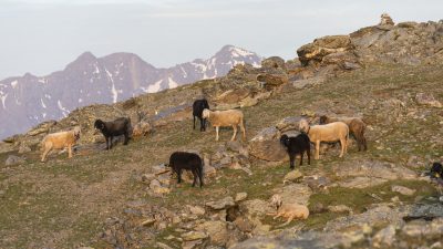 Italien Suedtirol Trentino Alto Adige Ulten Tal Ulten Val d'Ultimo St. Nikolaus Erlebnishotel Waltershof Sonnenaugang am Mutegg 2625 Meter Italien Suedtirol Trentino Alto Adige Ulten Tal Ulten Val d'Ultimo St. Nikolaus Erlebnishotel Waltershof Sonnenaugang am Mutegg 2625 Meter