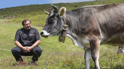 Italien Suedtirol Trentino Alto Adige Ulten Tal Ulten Val d'Ultimo St. Nikolaus Erlebnishotel Waltershof Schwemmalm Gunter mit Grauvieh