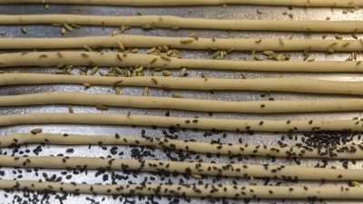 Italien Suedtirol Trentino Alto Adige Ulten Tal Ulten Val d'Ultimo St. Nikolaus Erlebnishotel Waltershof Kueche