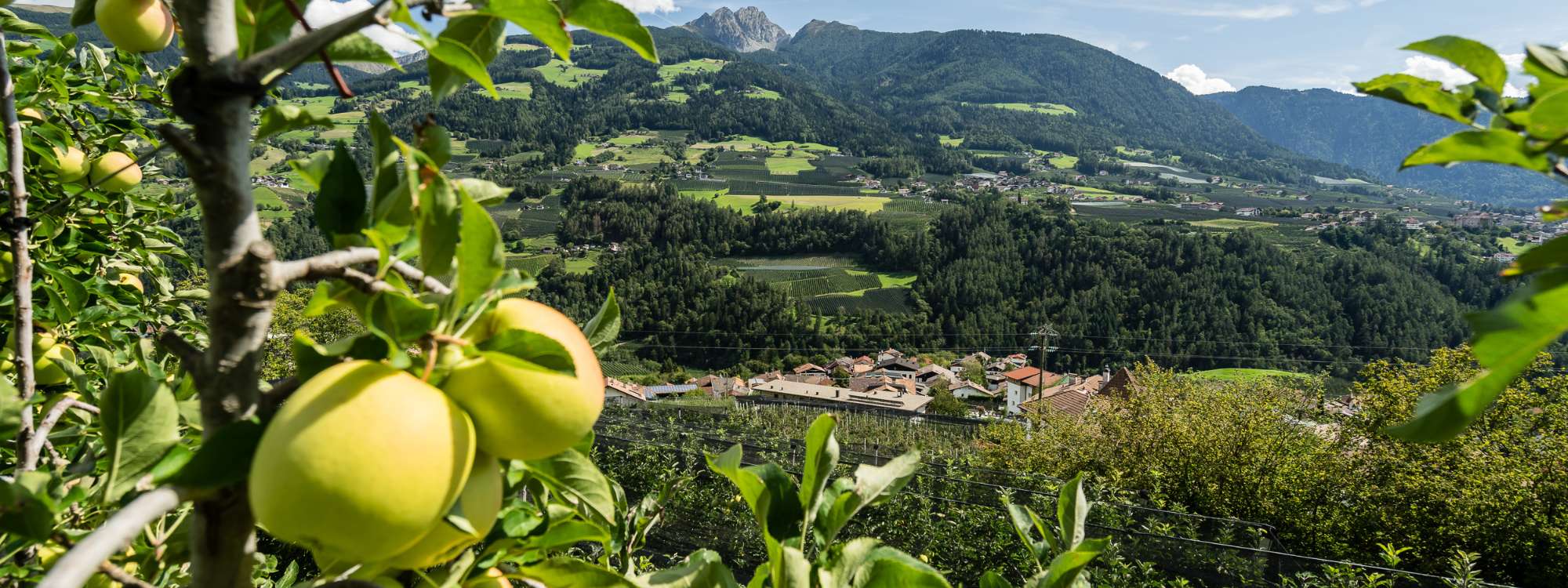 Traditionelles Rezept: Apfelbrot aus dem Meraner Land