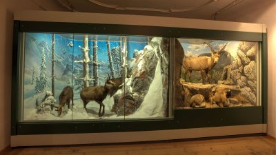 © Archiv Südtiroler Landesmuseum für Jagd und Fischerei, INFOS von Fotografen Hermann Maria Gasser