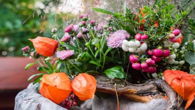 Wanderhotel Jaufentalerhof in Ratschings, Südtirol Wanderhotel Jaufentalerhof in Ratschings, Südtirol