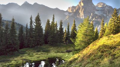 Ladurns Sommer Ladurns Sommer