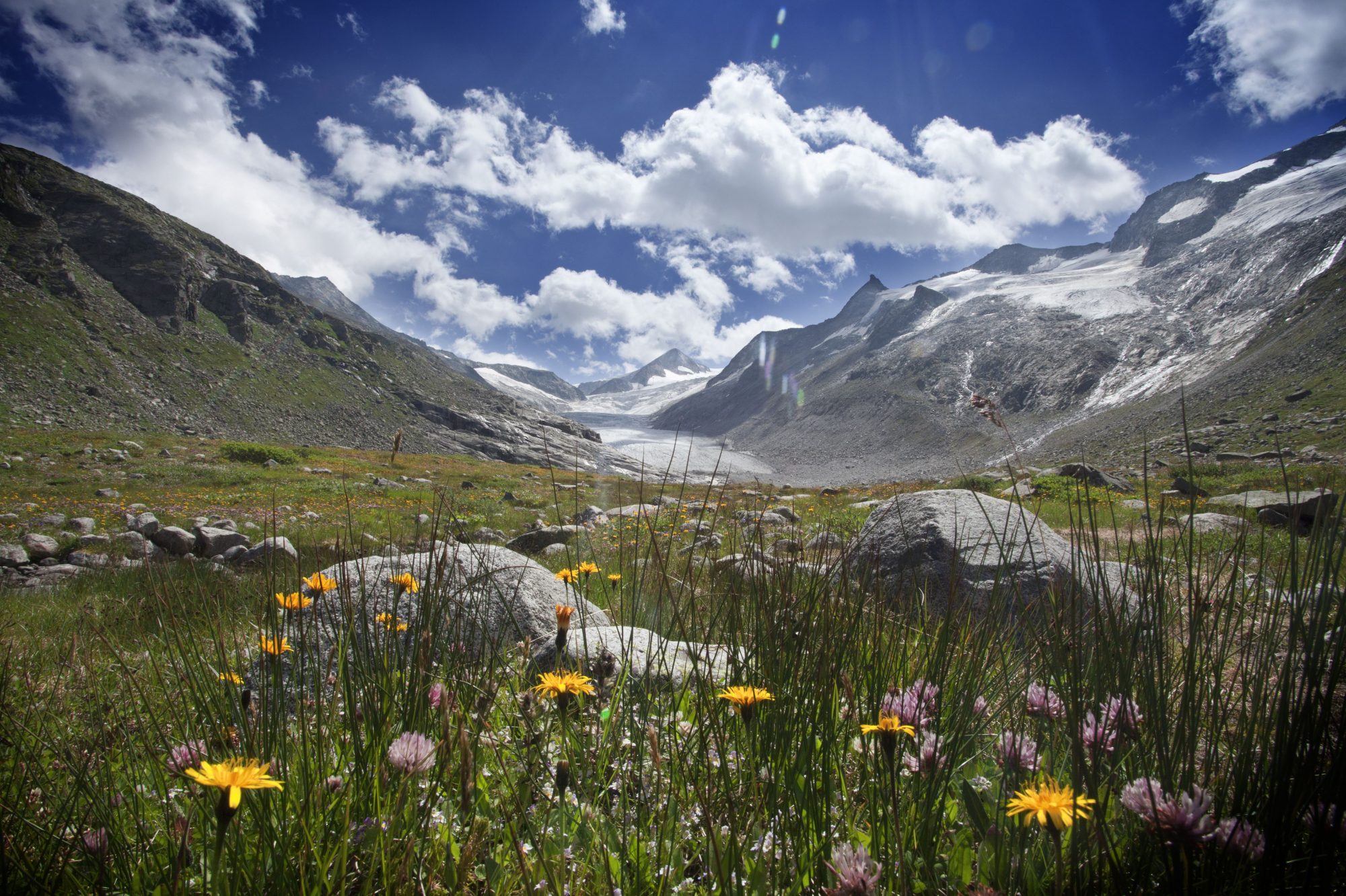 Weil uns die Natur wichtig ist!