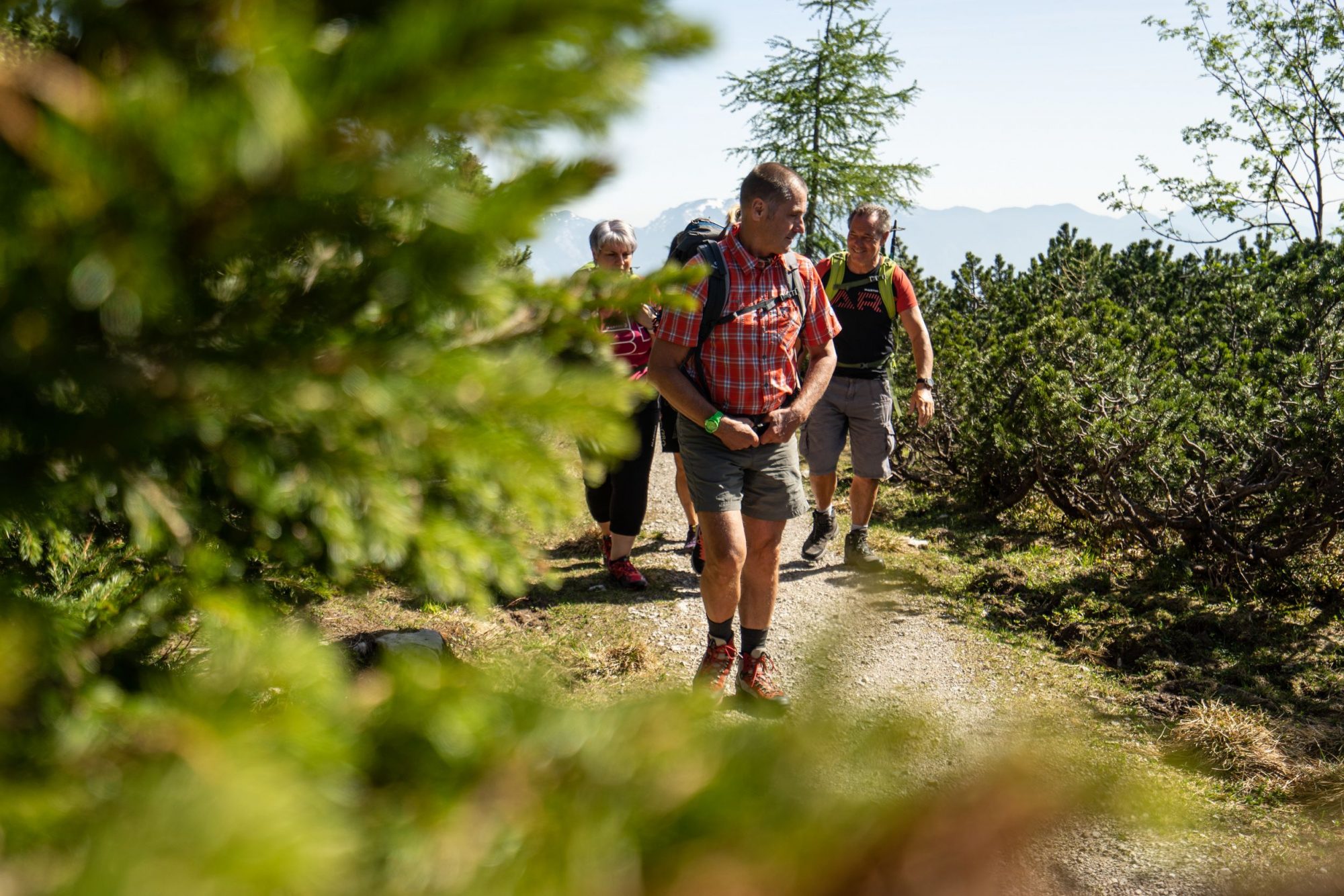 Auf die Berge, fertig, los: Wandern rund um Hinterstoder