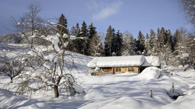 Foto: Johannes Kernmayer
