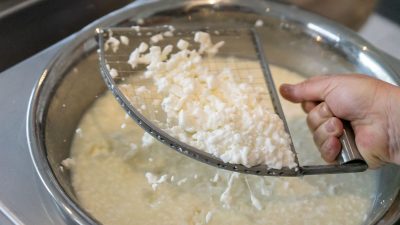 Heumilch Frischkäse, Frischkäsekurs mit Evelyn Hinteregger Heumilch Frischkäse, Frischkäsekurs mit Evelyn Hinteregger