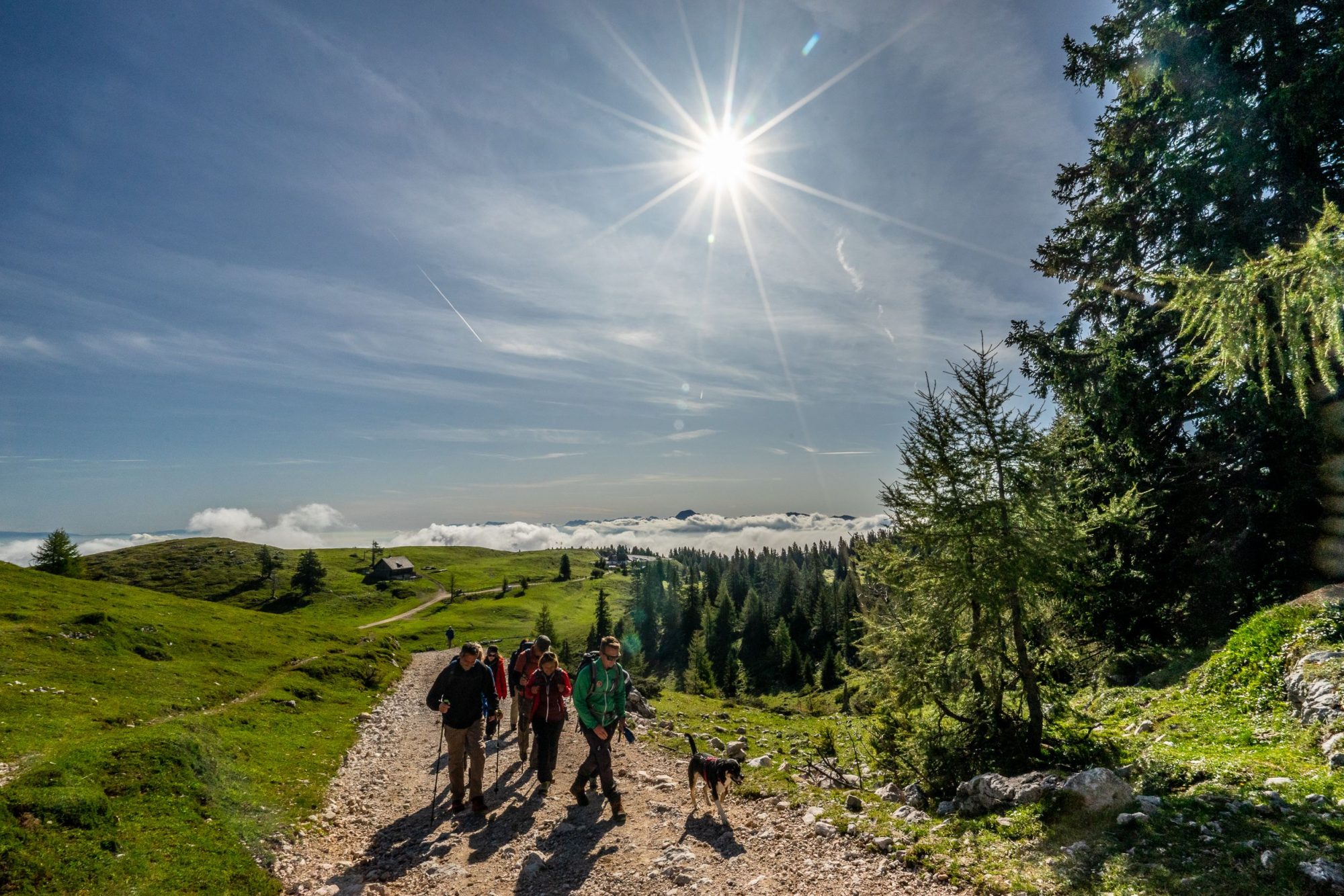 Mit Ule in die Berge