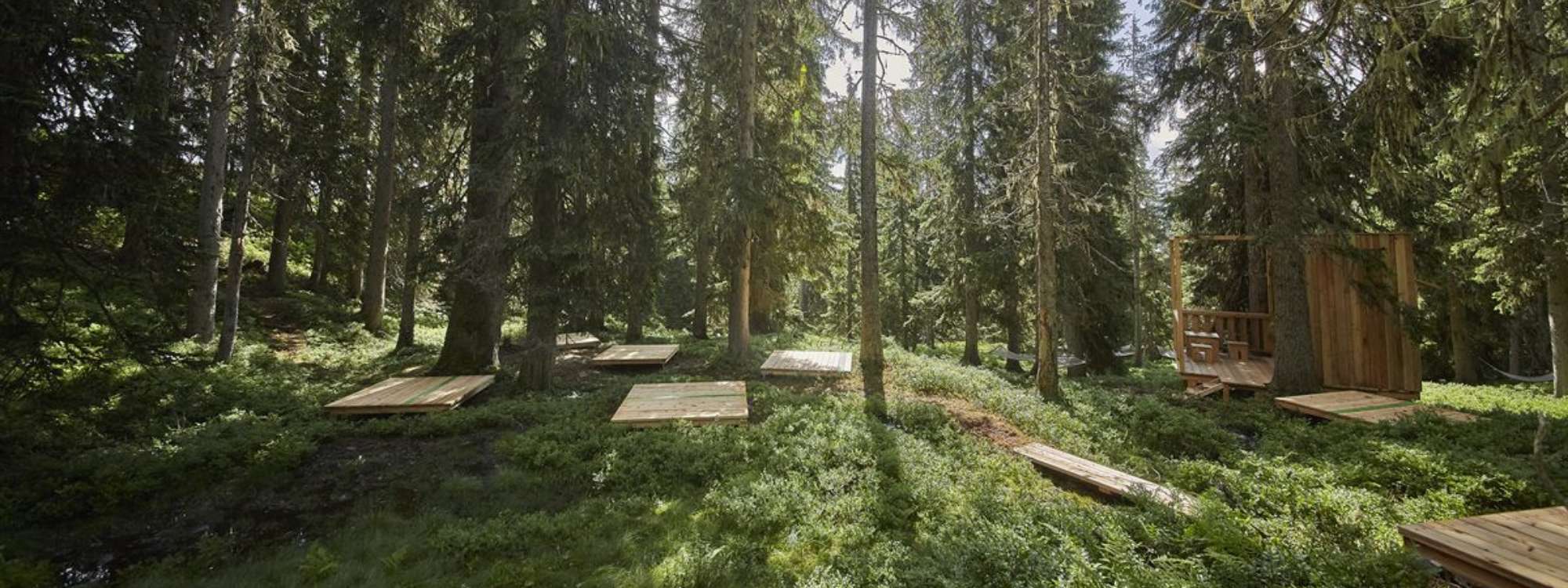 WALDWELLNESSWEG in Saalbach-Hinterglemm