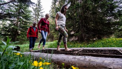 Das Katschberg Kneipp Weg