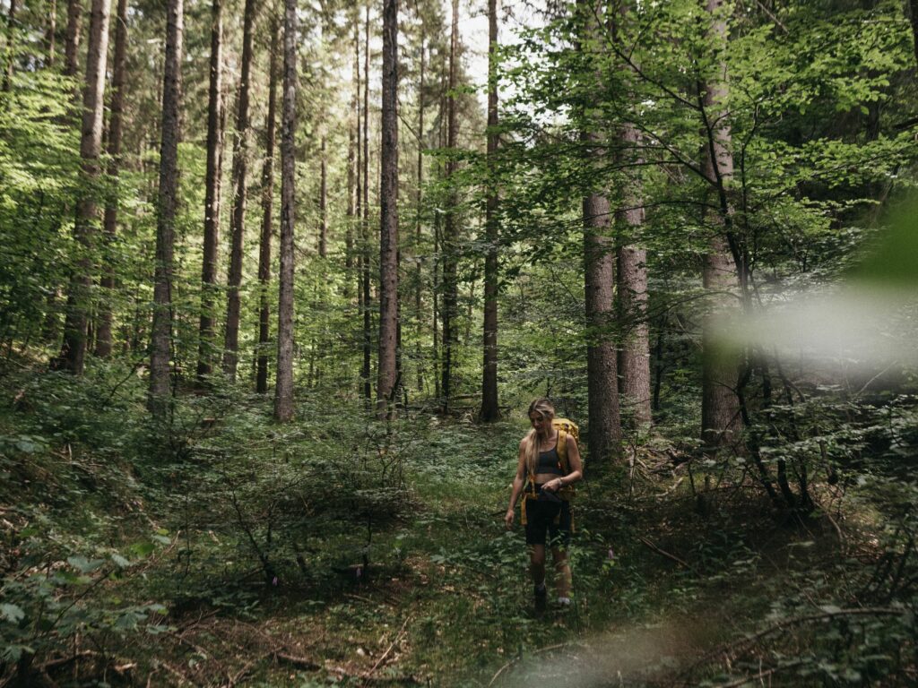 Dorf Schönleitn Waldbaden