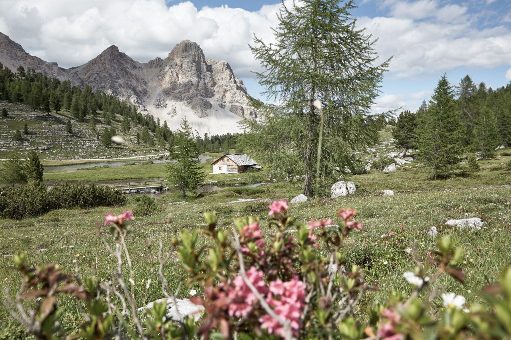 Excelsior Dolomites Life Resort Natur