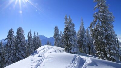 Panoramablick auf die verschneiten Berge im Tannheimer Tal vom Wanderhotel Lumberger Hof – unvergessliche Wintererlebnisse für Skifahrer und Naturliebhaber.© Hotel Lumberger Hof