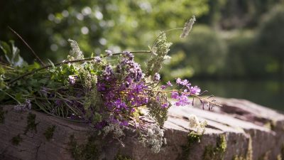 Hotel Rosengarten Kräuter