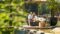 Wellnessurlaub in Gastein? Der Pool des Wanderhotels Gasteiner Einkehr lädt nach dem Wandern im Nationalpark Hohe Tauern zur Erholung ein.© Aktivhotel Gasteiner Einkehr