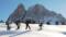 Taubers Wanderhotel Schneeschuhwandern