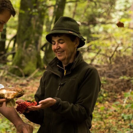 Frau sammelt Pilze im Wald Frau sammelt Pilze im Wald