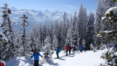 Wanderhotel Kirchner Winterwandern© Wanderhotel Kirchner