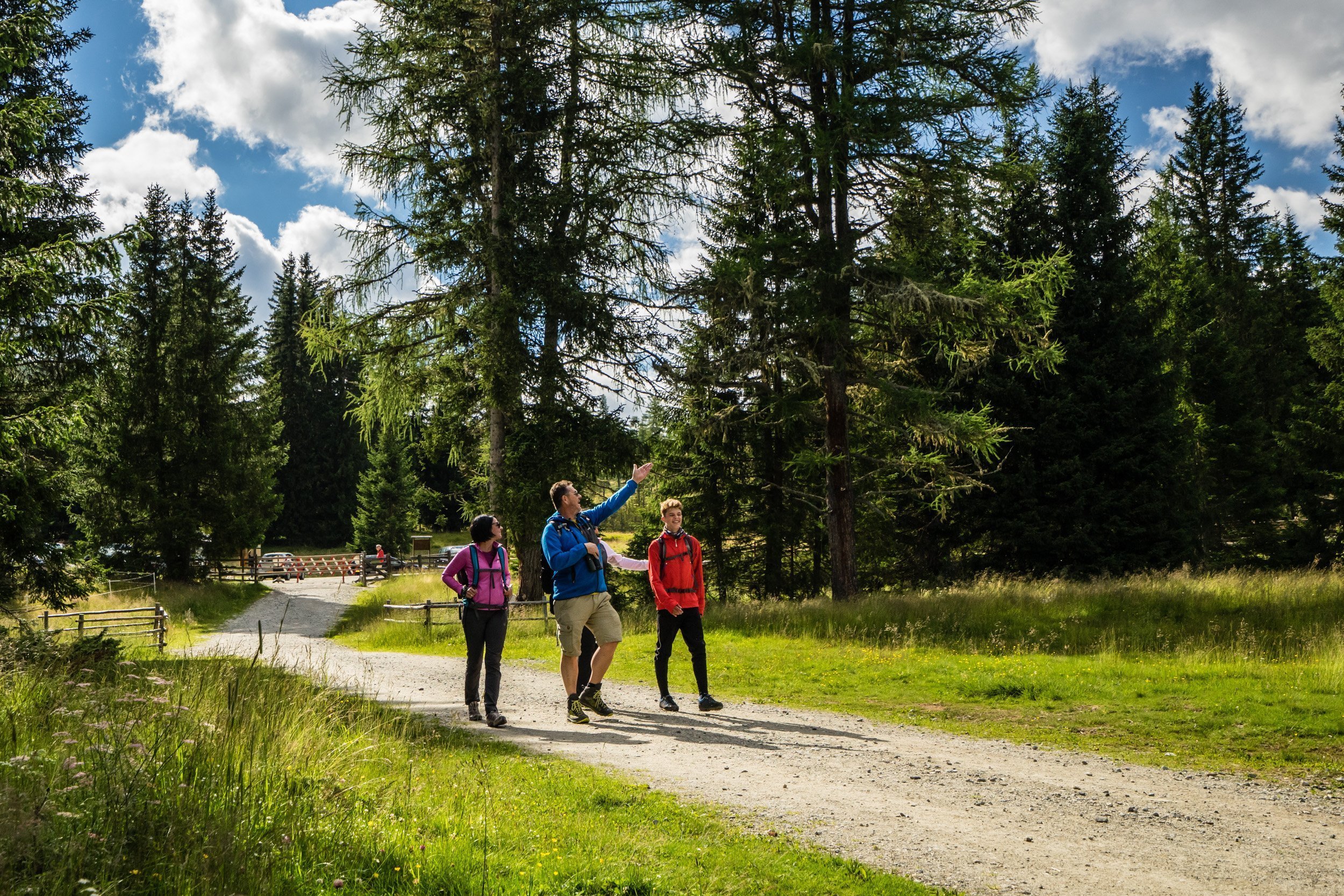 Wanderhotel Steffner-Wallner Wandertour