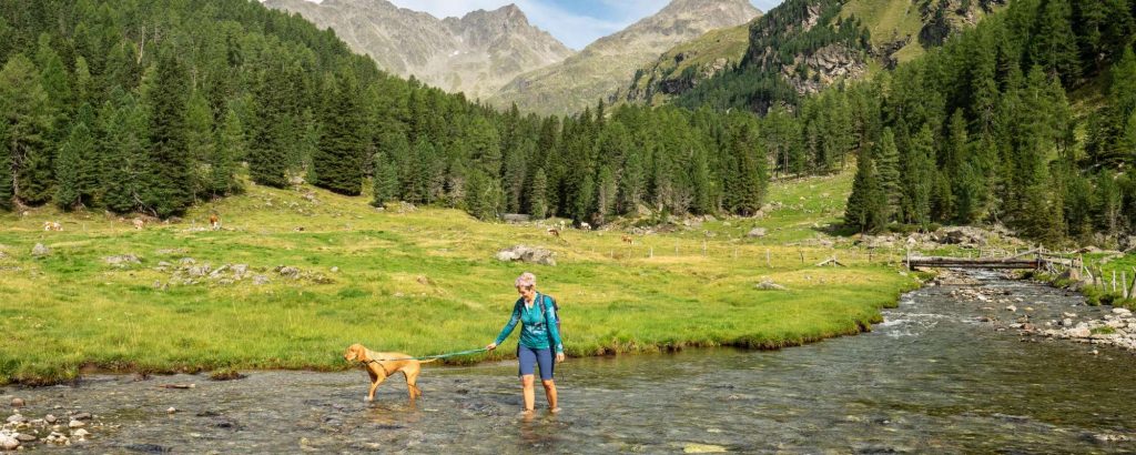 Wandern mit Hund