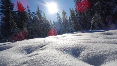 Winterwanderwege in Bramberg & Neukirchen gibt es viele in unberührter Natur. Informationen dazu gibt's beim Wanderhotel Kirchner.© Huber Fotografie - Wanderhotel Kirchner