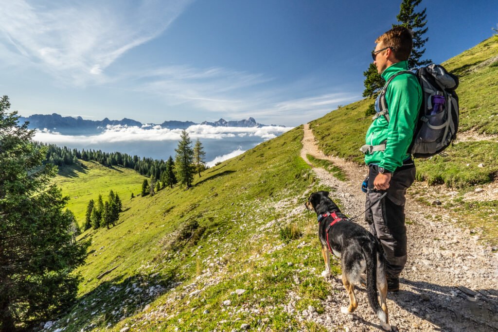 Wandern mit Hund Hoteldorf Schönleitn