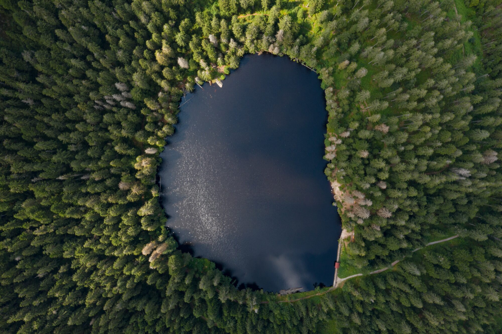 schwarzwald see von oben