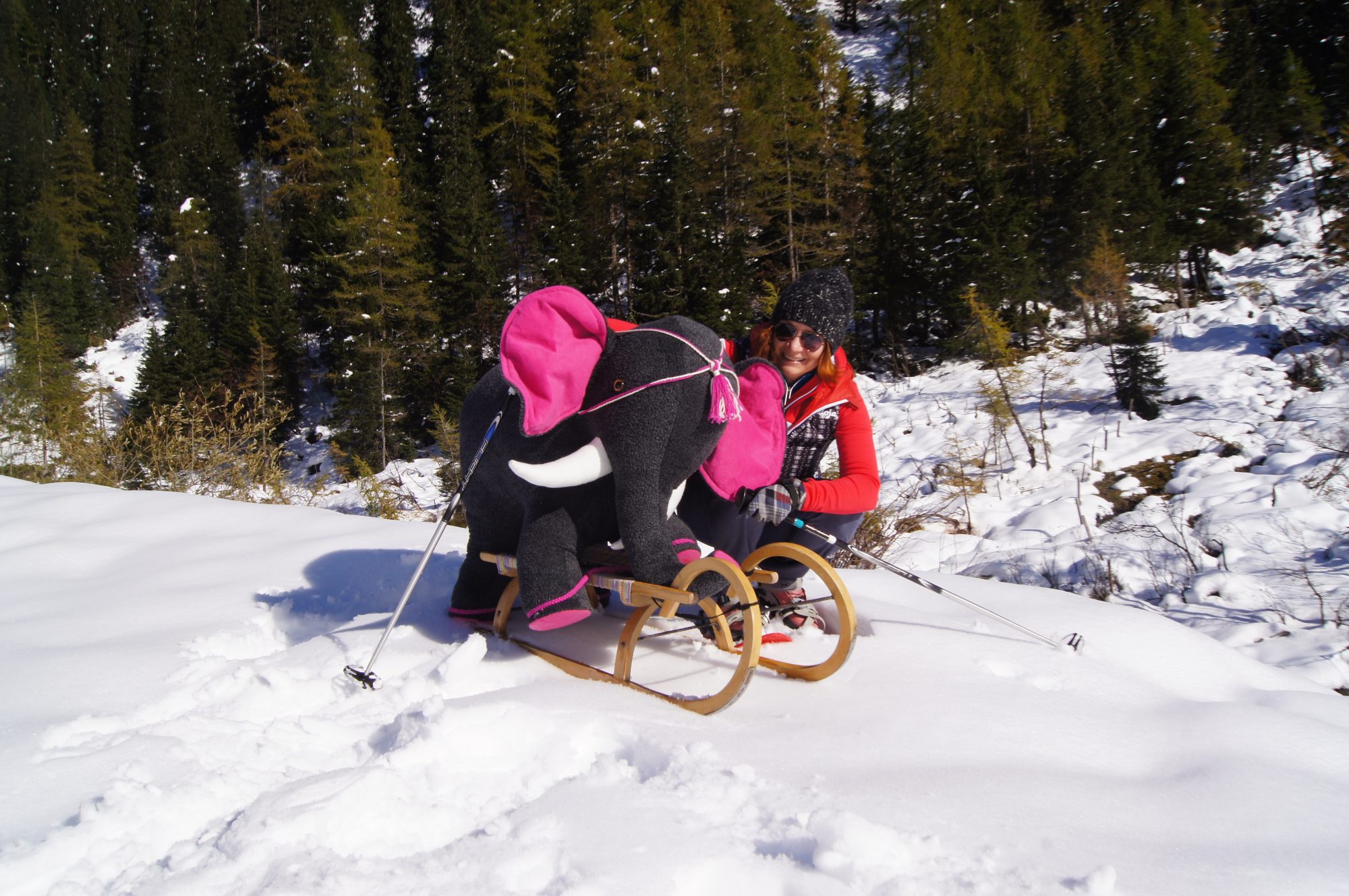 Babyelefant "Fanti" im Schnee