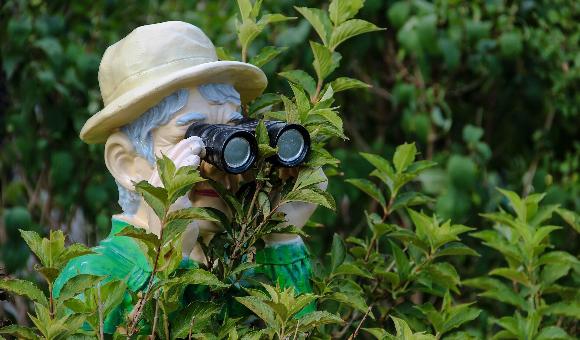 Gartenzwerg mit Fernglas