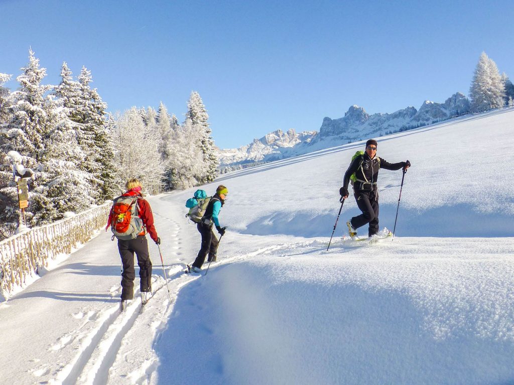 geführte Skitour mit Bergführer Hansjörg vom Hotel Marica