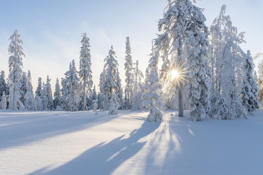 Winterlandschaft