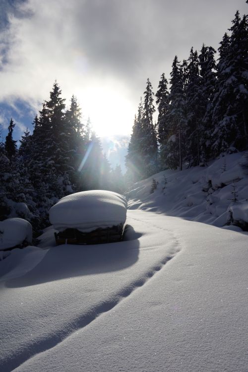 Schneeschuhwandern im Steinertal