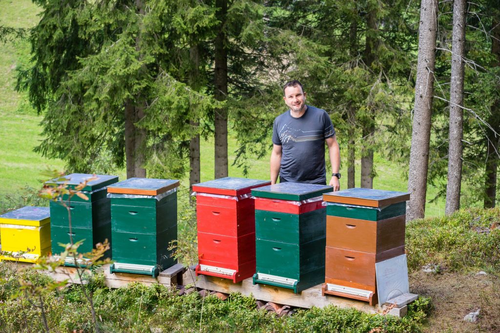 Jaufentalerhof Bienenstöcke