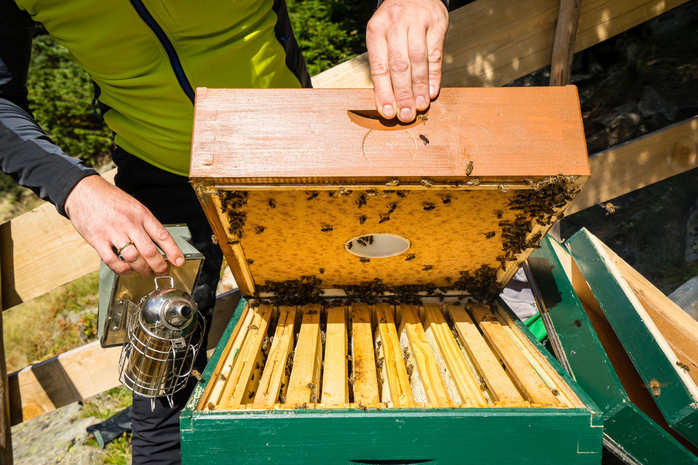 Jaufentalerhof Bienenstock