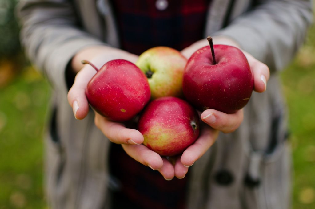 Äpfel in Händen